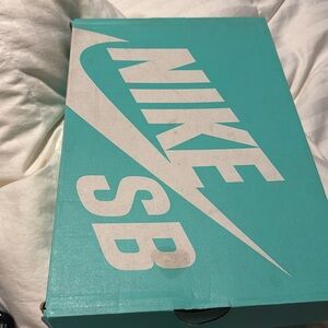 Brand new Nike sb shoes